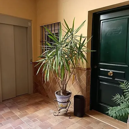 Triana Apartment